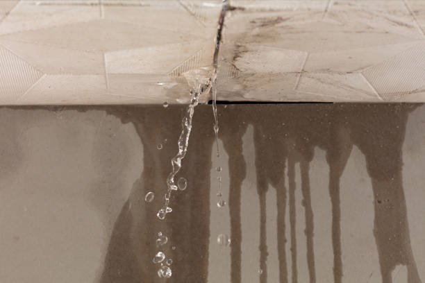 Professional Water Extraction technician working in Westminster, TX